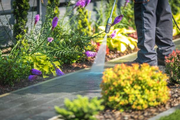 Shongopovi, AZ  Pressure Washing Services Company