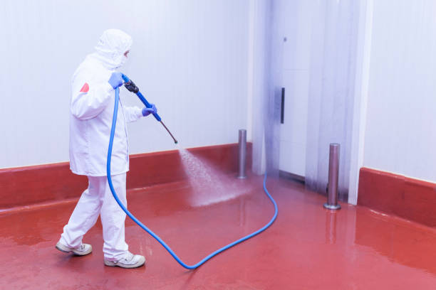 Concrete Sealing in Shongopovi, AZ